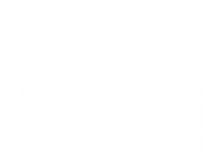 Эта сумка &mdash; идеальный выбор для инвестиций в 2026 году