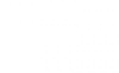 Московский зоопарк представил манула Тимофея после завершения зажировки