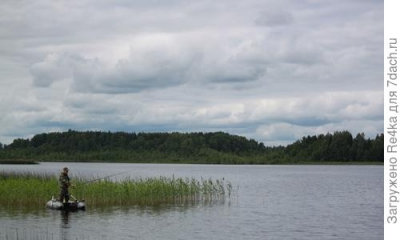 В паспортах граждан Эстонии, рожденных в Псковской области, место рождения указано как Эстония вместо России