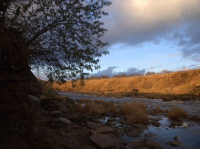 Резервный поезд отправился за пассажирами застрявшего в Ленобласти "Сапсана"